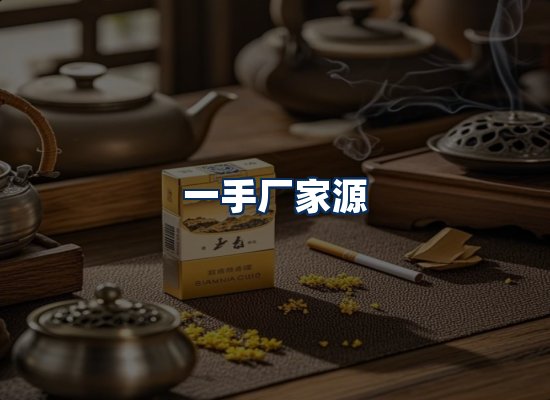 专业团队办公环境